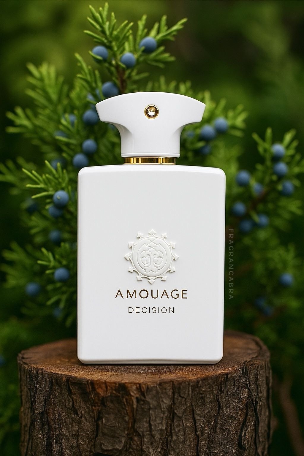 Decision Amouage