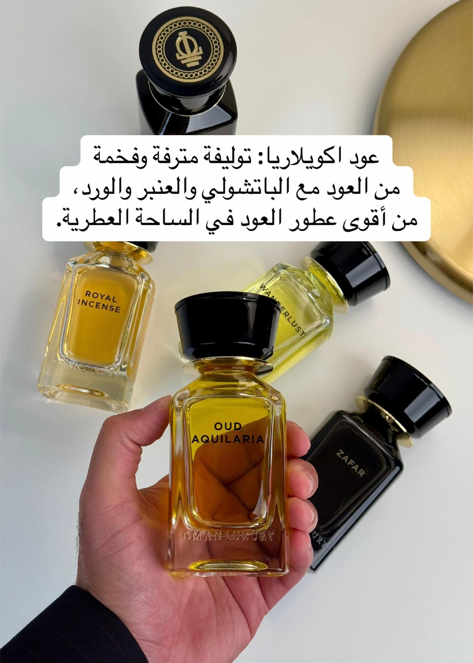 Oman Luxury OUD AQUILARIEau de Parfum 100ml